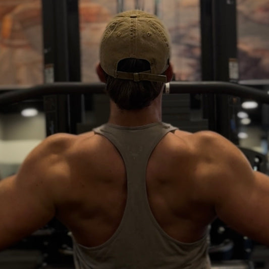 Intermediate Fitness Plan